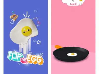 flip-the-egg
